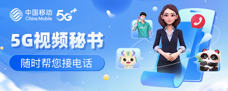 视频秘书B版
